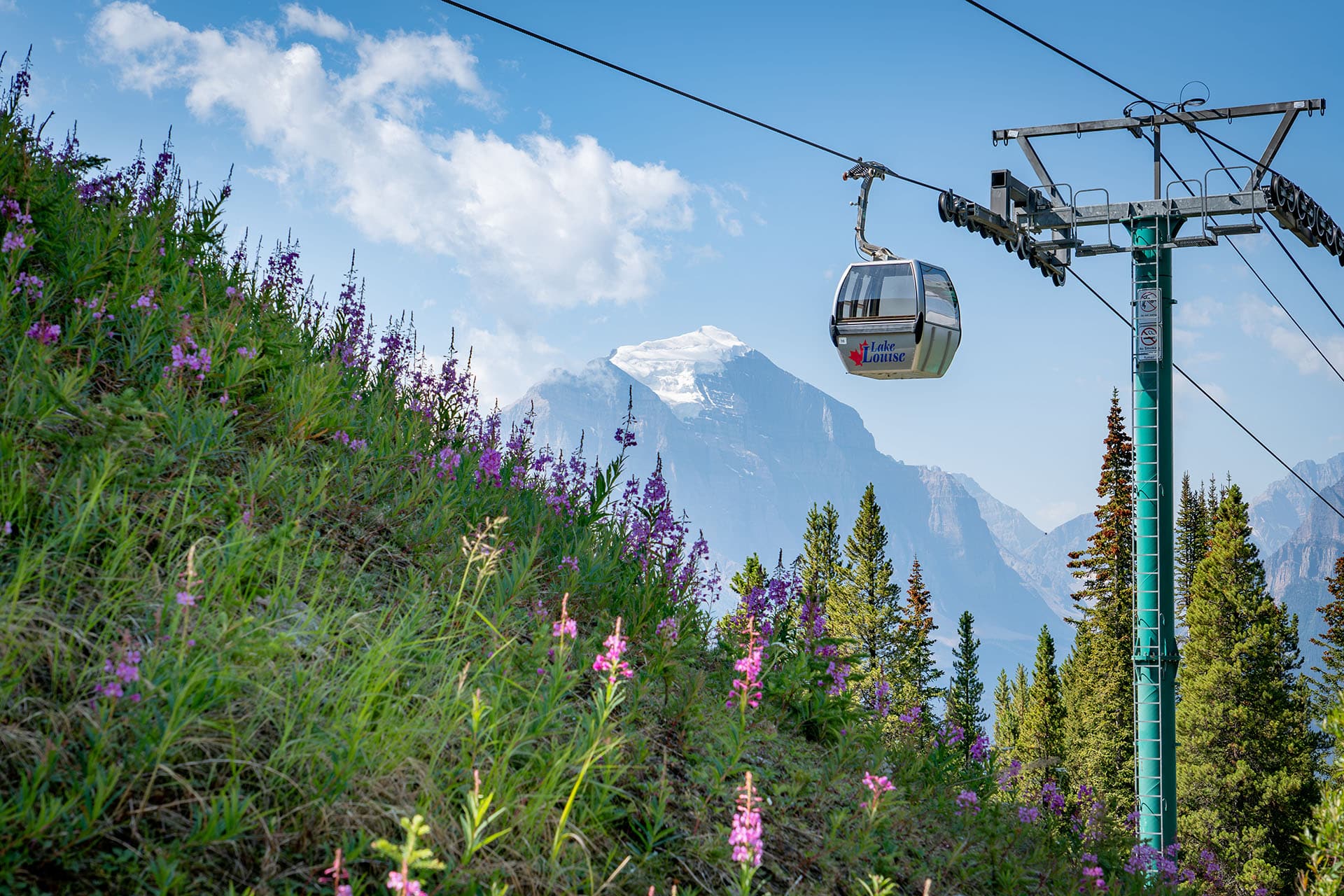 Lake Louise landscape