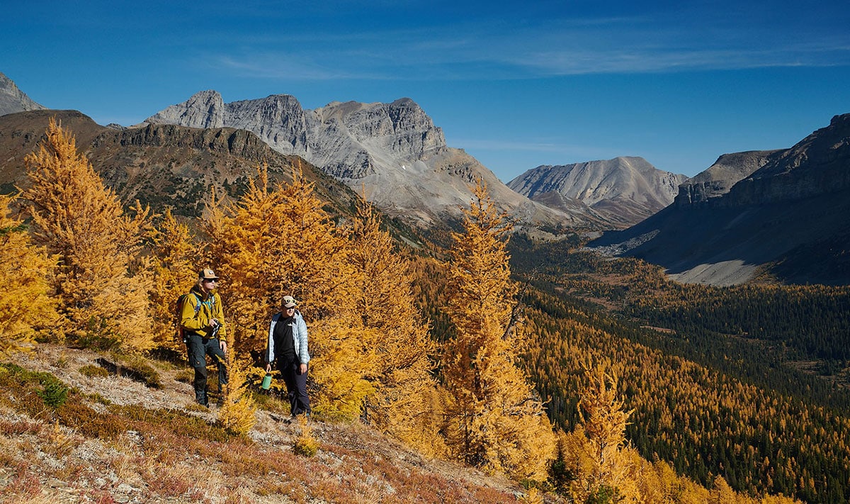 Hiking in Lake Louise & Banff National Park