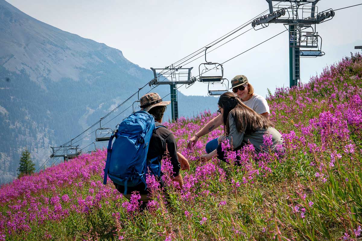 Hikes in Lake Louise