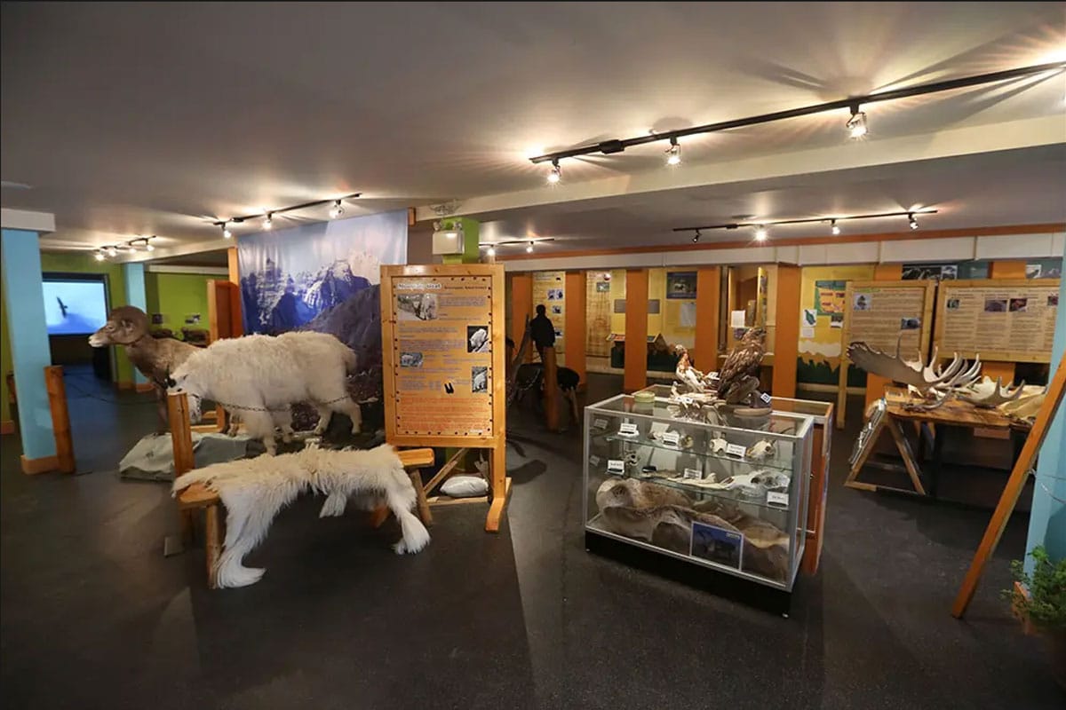 Wildlife Interpretive Centre in Lake Louise
