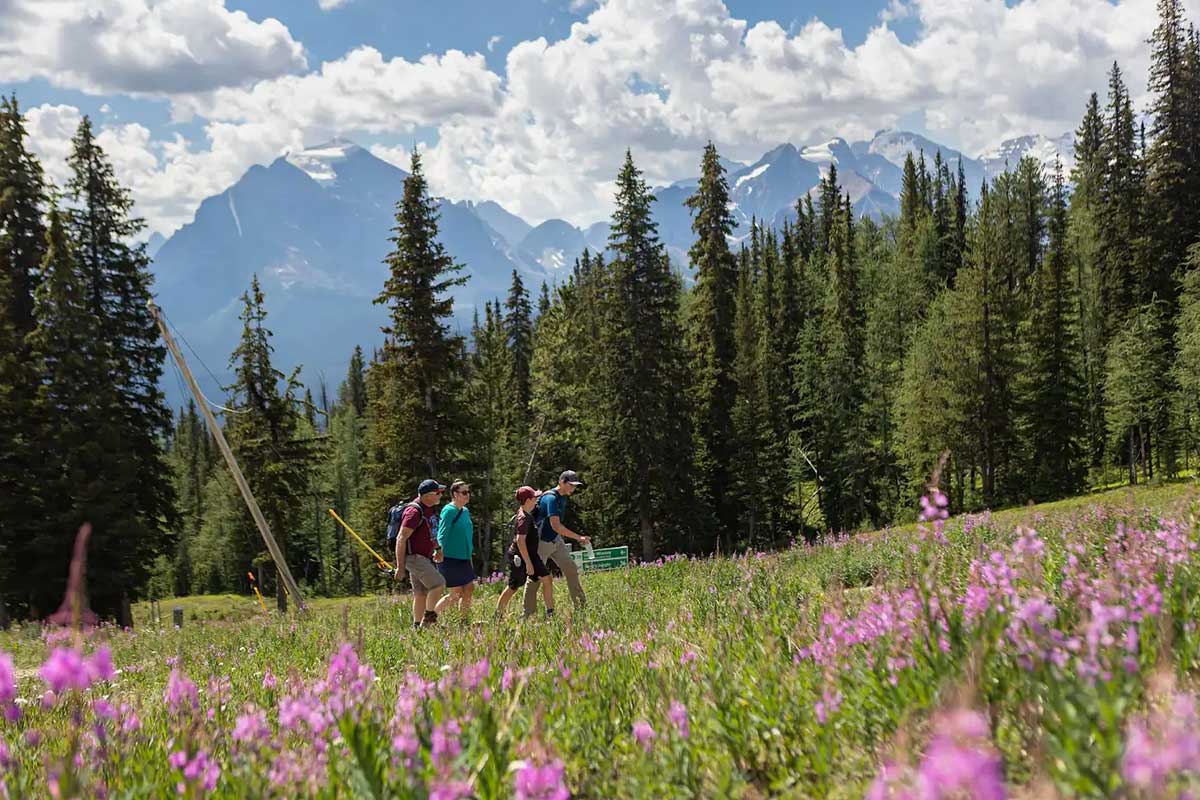 Scenic hiking trails in Lake Louise