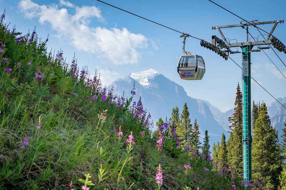 Sightseeing Gondola in Lake Louise