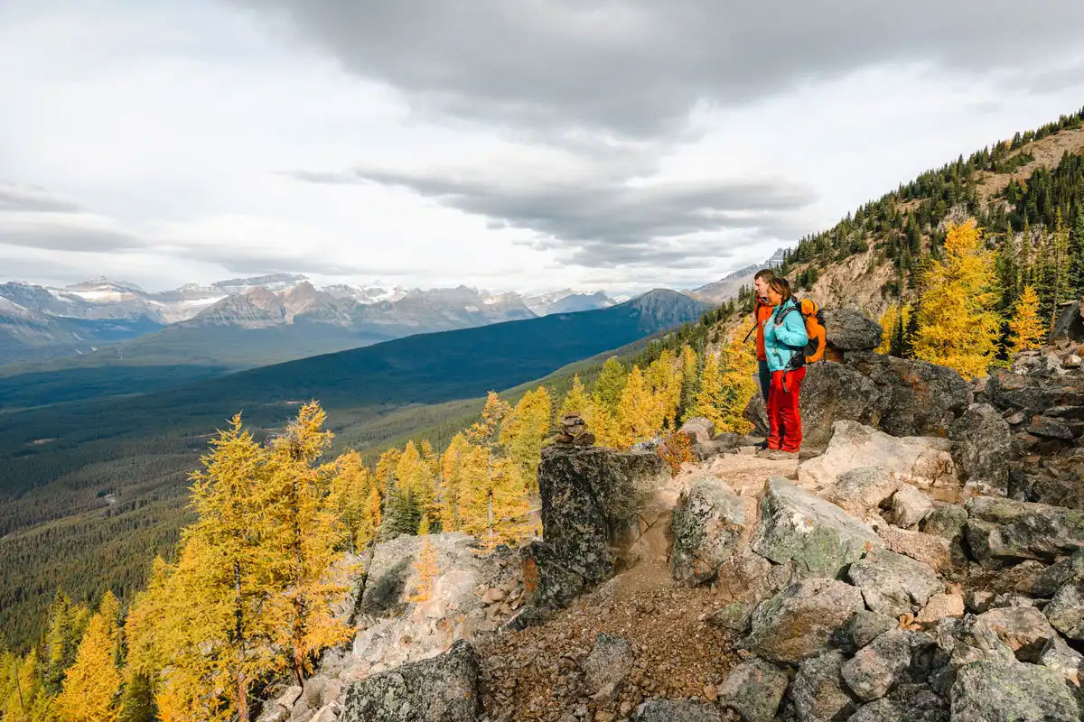 Best larch hikes in Alberta